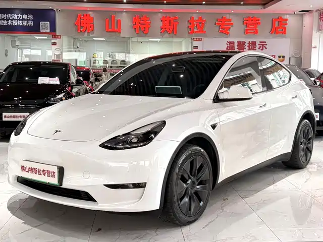 Tesla Model Y 2023 Long Range All-Wheel Drive Edition — фото 1