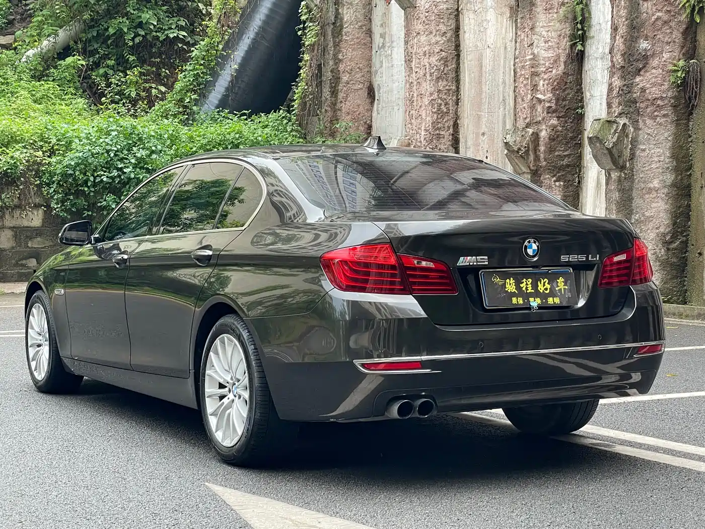 BMW 5 Series 2014 525Li Luxury Design Package фото 5