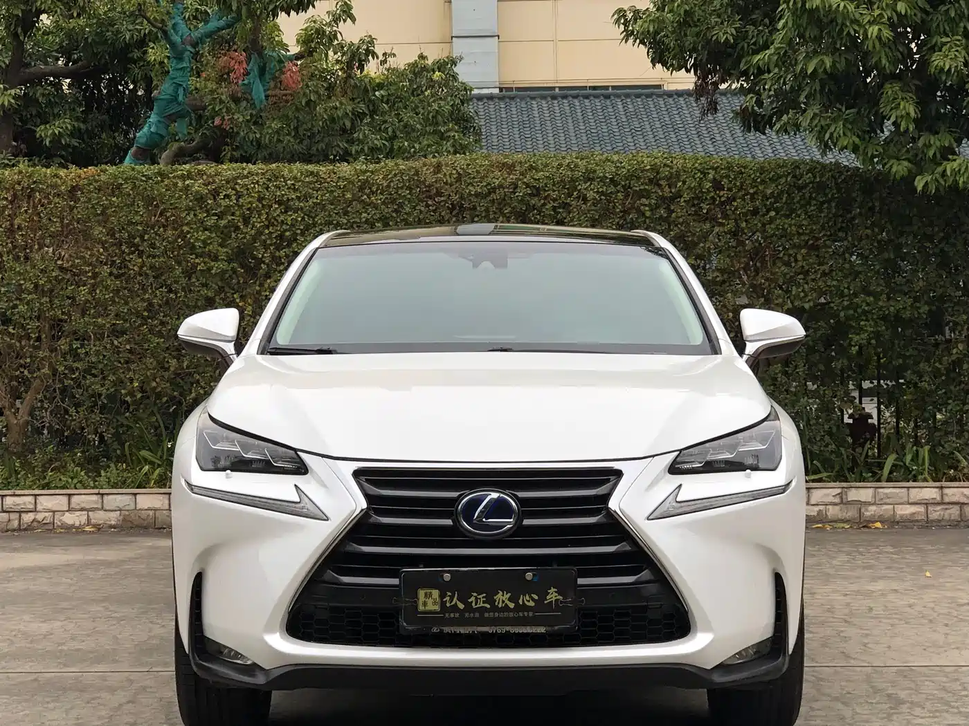 Lexus NX 2015 300h AWD F SPORT фото 2