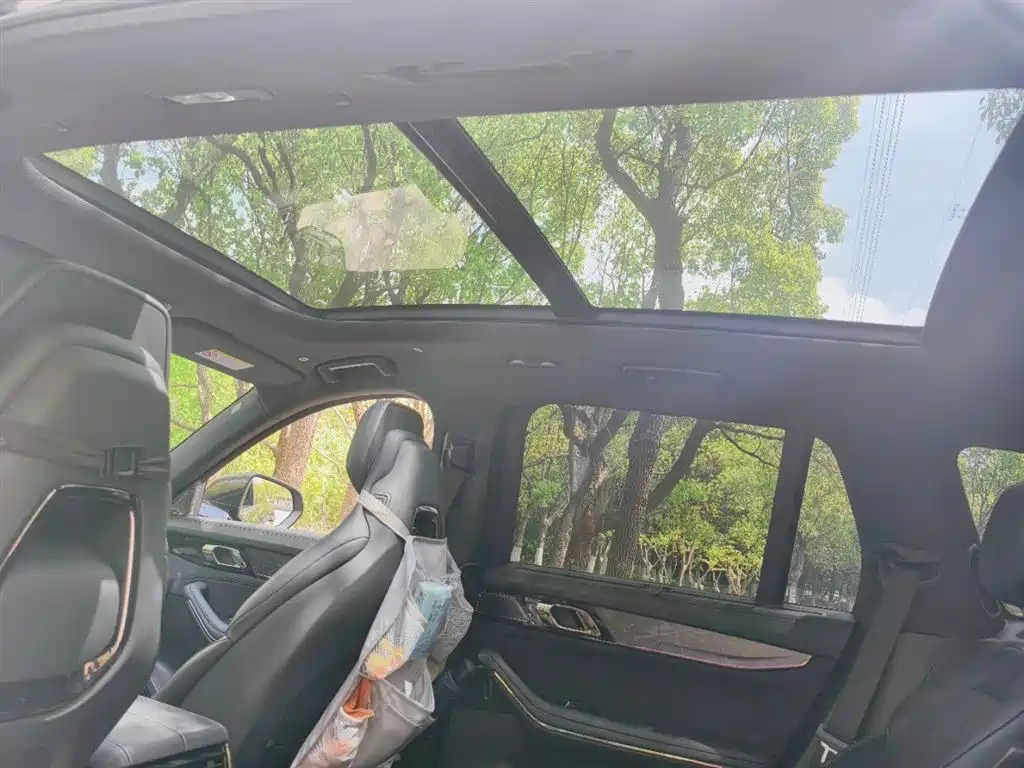 Lynk & Co 09 EM-P 2021 2.0T PHEV Halo 6-seater фото 9