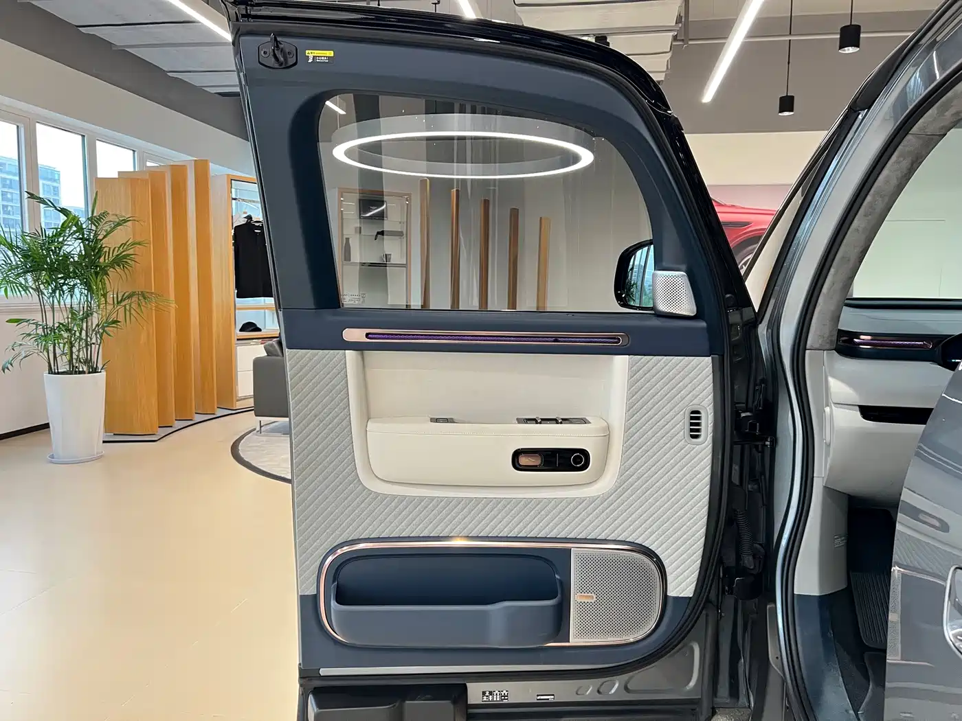 ZEEKR MIX 2025 2025 Smart Driving Edition