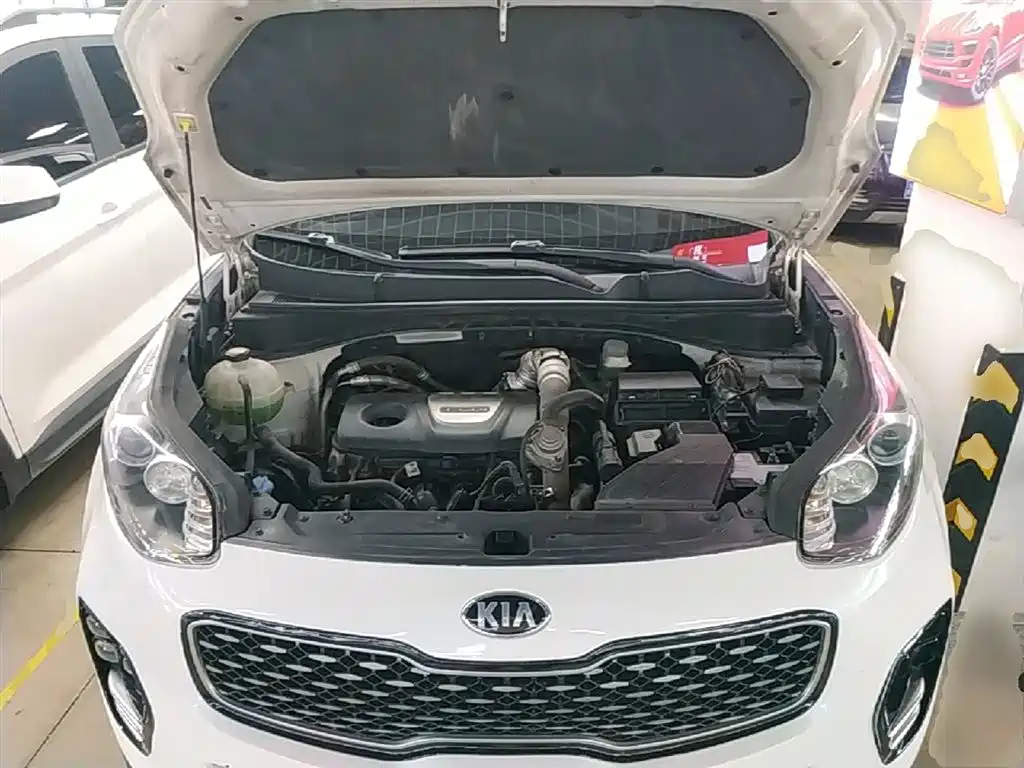 Kia KX5 2016 Model 1.6T Automatic 2WD DLX фото 20