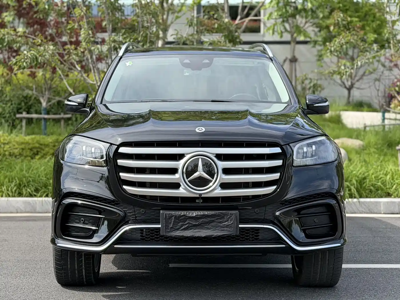 Mercedes-Benz GLS 2025 GLS 450 4MATIC Luxury фото 2
