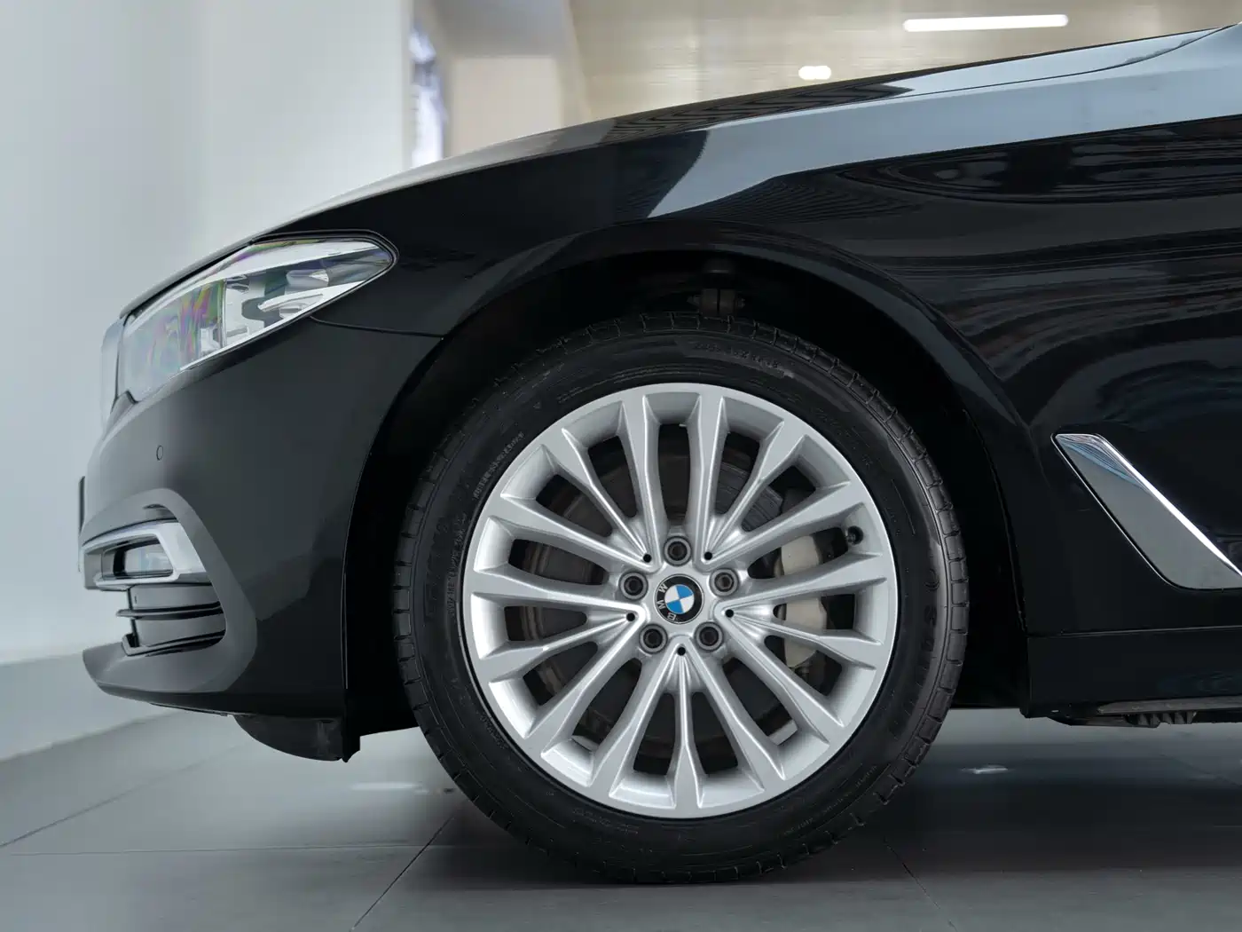 BMW 5 Series 2019 530Li Leading Luxury Package фото 9