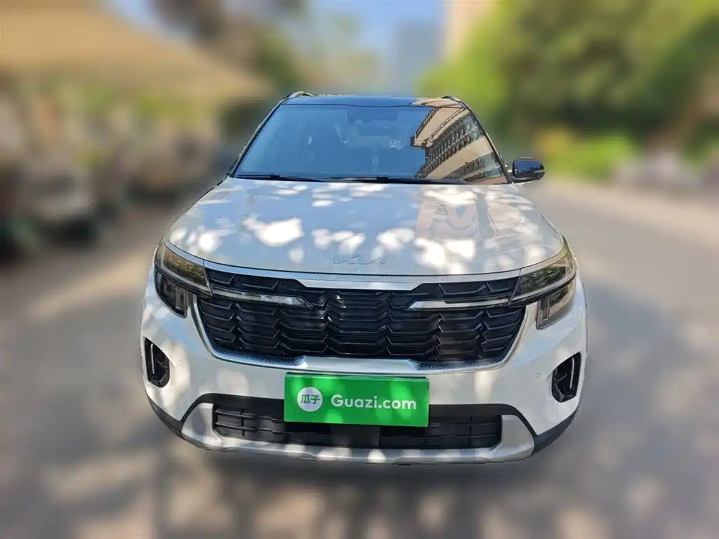 Kia Seltos 2023 1.5L CVT Luxury Edition фото 24