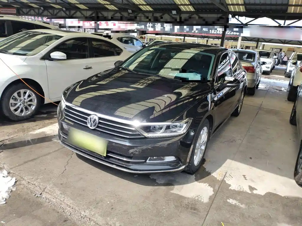 Volkswagen Magotan 2019 330TSI DSG Luxury China V