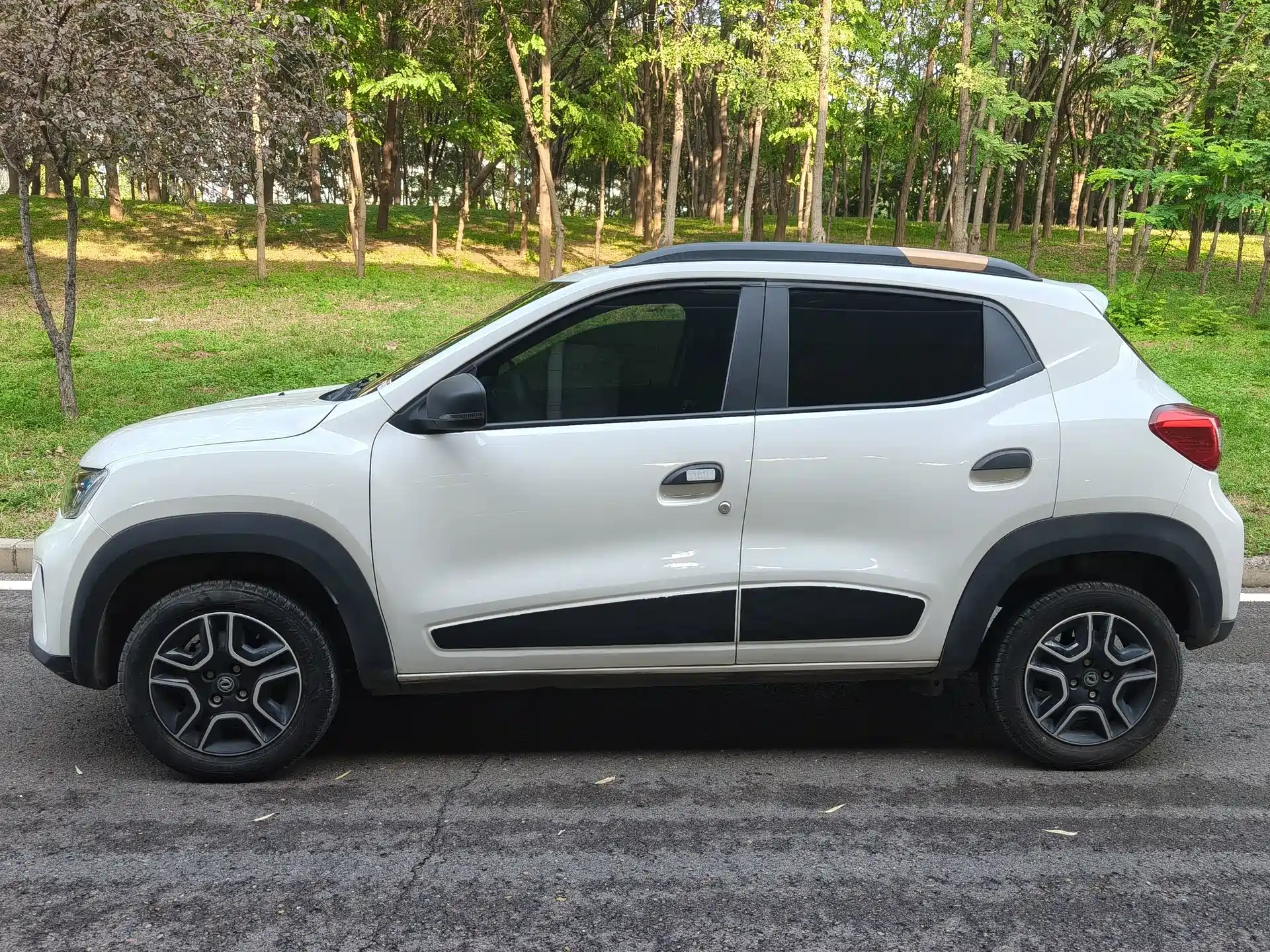 صورة 3 - Dongfeng Yipai Dongfeng Nano EX1