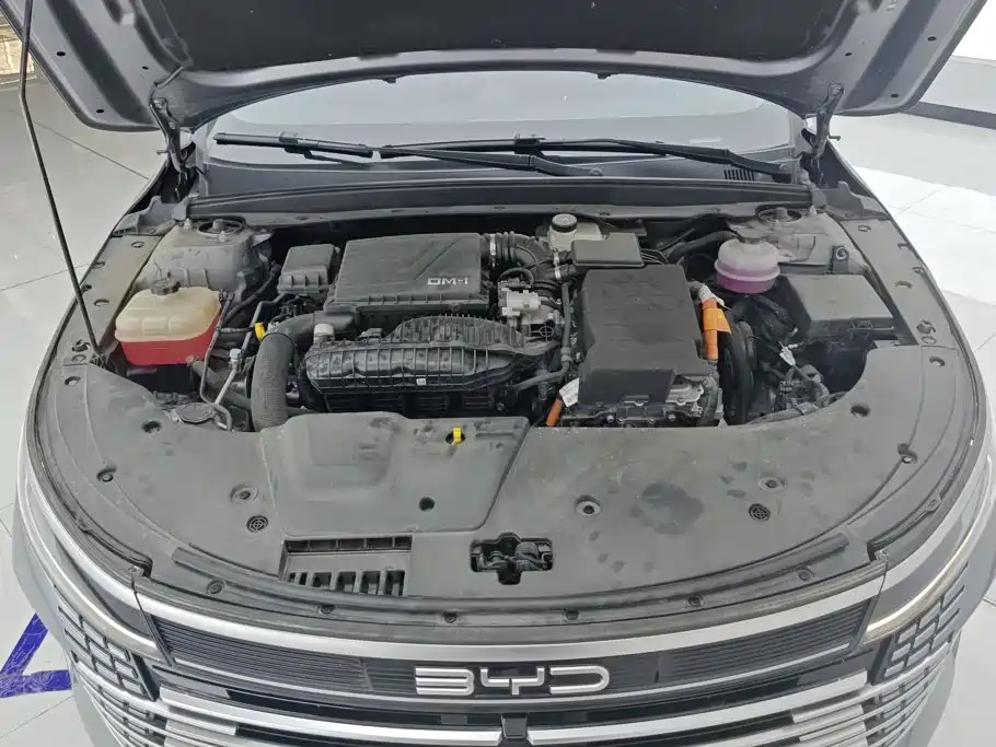 BYD Destroyer 05 2025 2024 Glory Edition DM-i 55KM Luxury