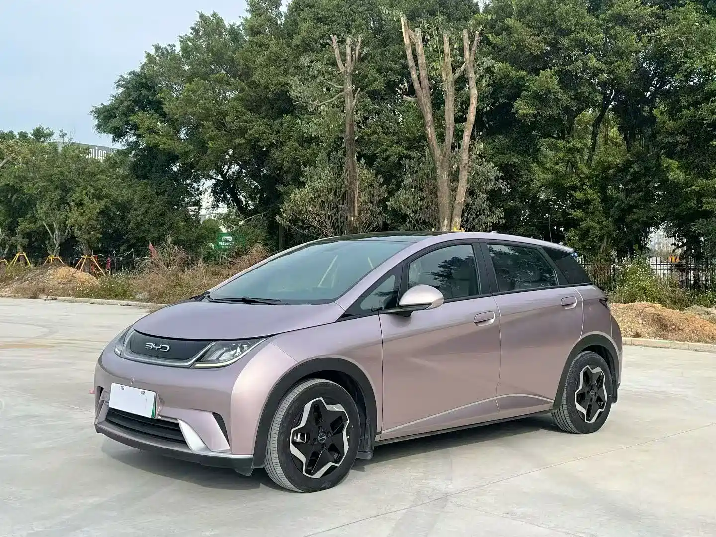 Фото 2 - BYD Dolphin
