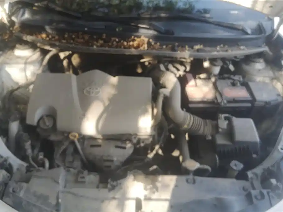 Toyota Vios 2017 1.3L Manual Advance фото 10