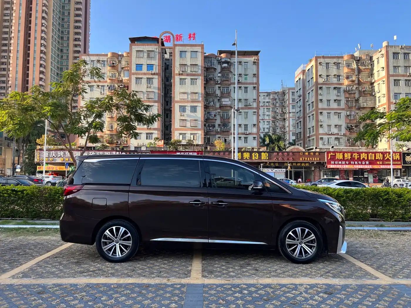 GAC Trumpchi Trumpchi M8 2018 320T Premium Edition фото 7