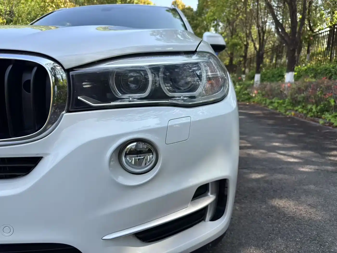 BMW X5 (Import) 2014 xDrive35i Luxury фото 10