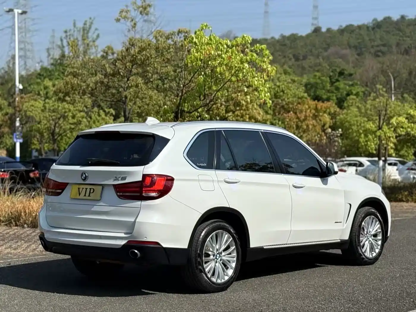 BMW X5 (Import) 2014 xDrive35i Luxury фото 4
