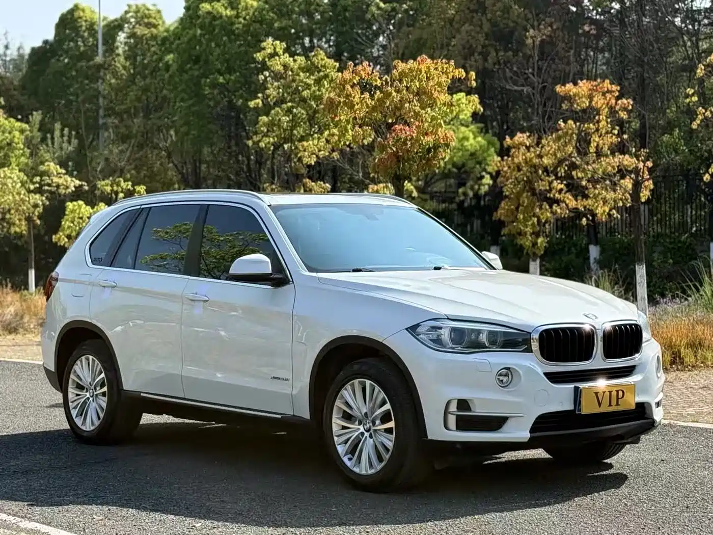 BMW X5 (Import) 2014 xDrive35i Luxury фото 3