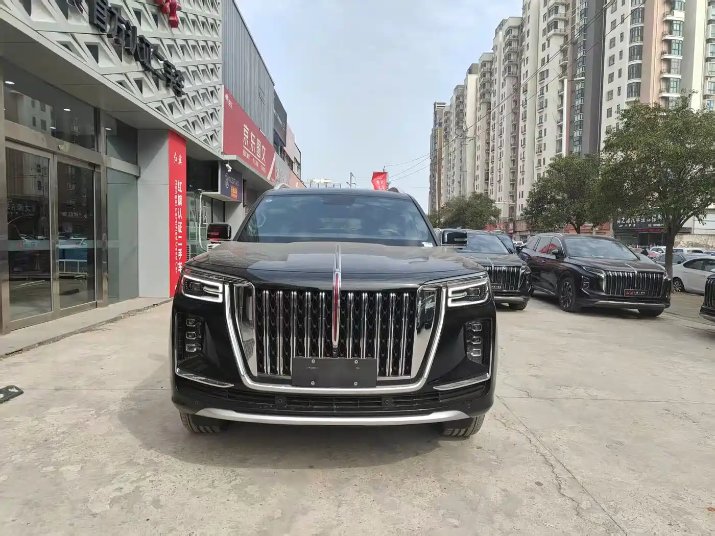 Hongqi Guoyao 2022 4.0T Elegant Flagship 6-Seater фото 2