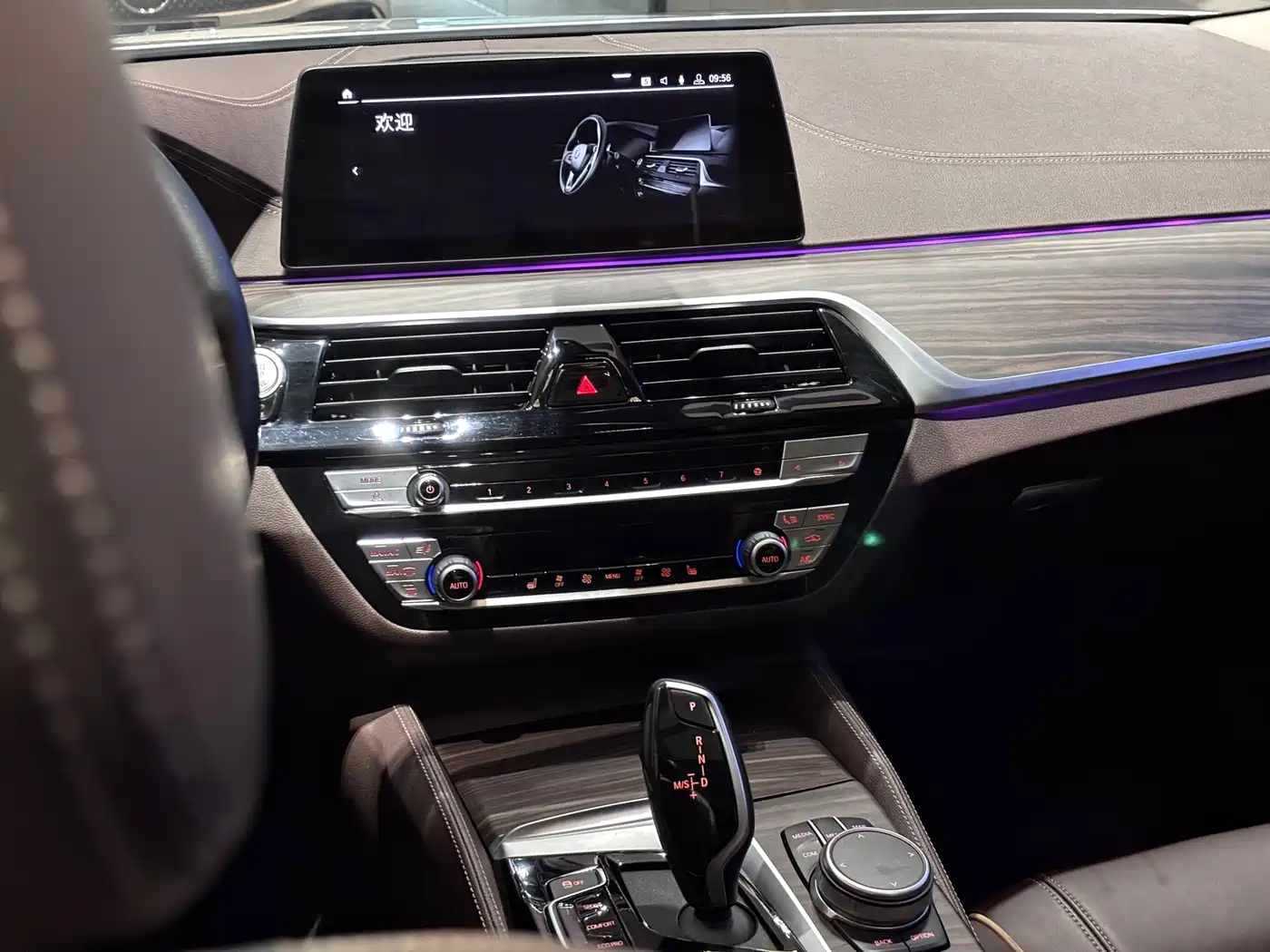 BMW 5 Series 2020 530Li xDrive Luxury Package фото 18