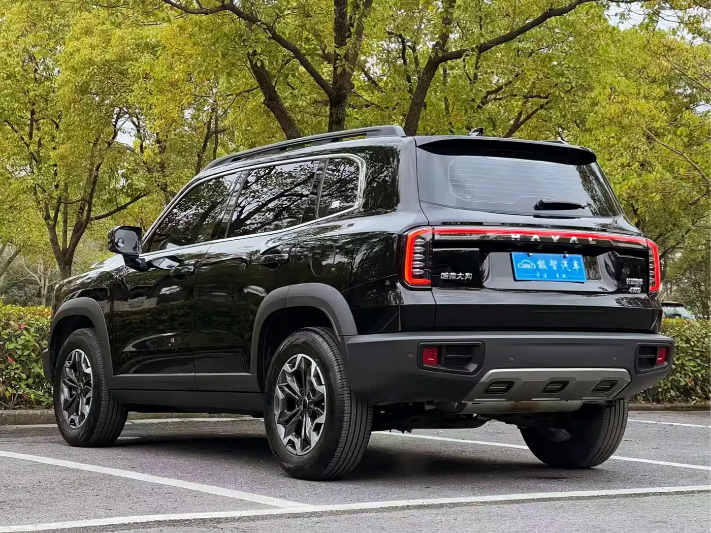 Haval Big Dog 2024 2.0T DCT Chinese Rural Dog Edition фото 7