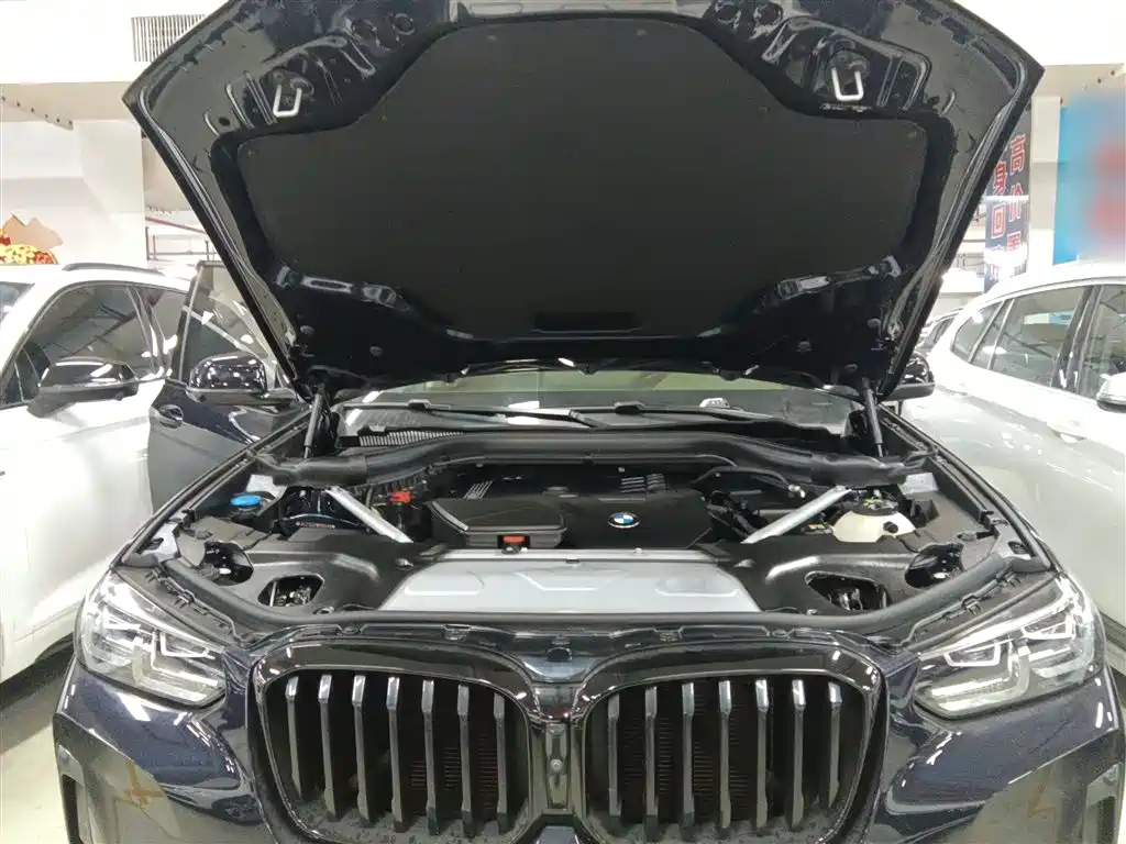 BMW X3 2022 Facelift xDrive30i Leading M Shadow Edition фото 16