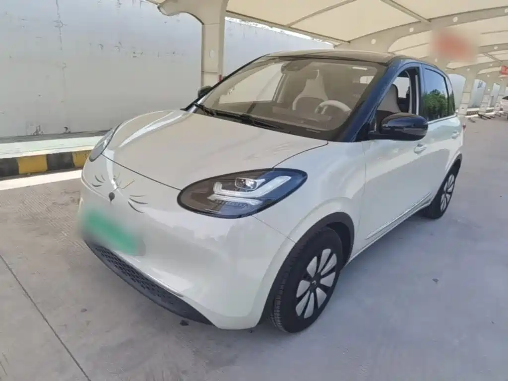 Wuling Motors Wuling Bingo 2023 203km Comfort Version