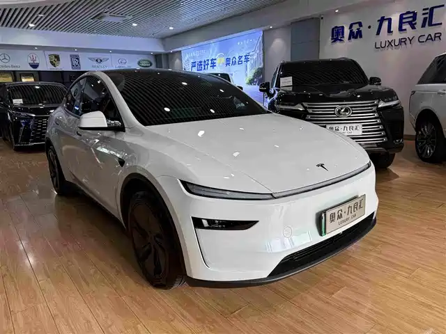 Tesla Model Y Увеличенный запас хода, полный привод
