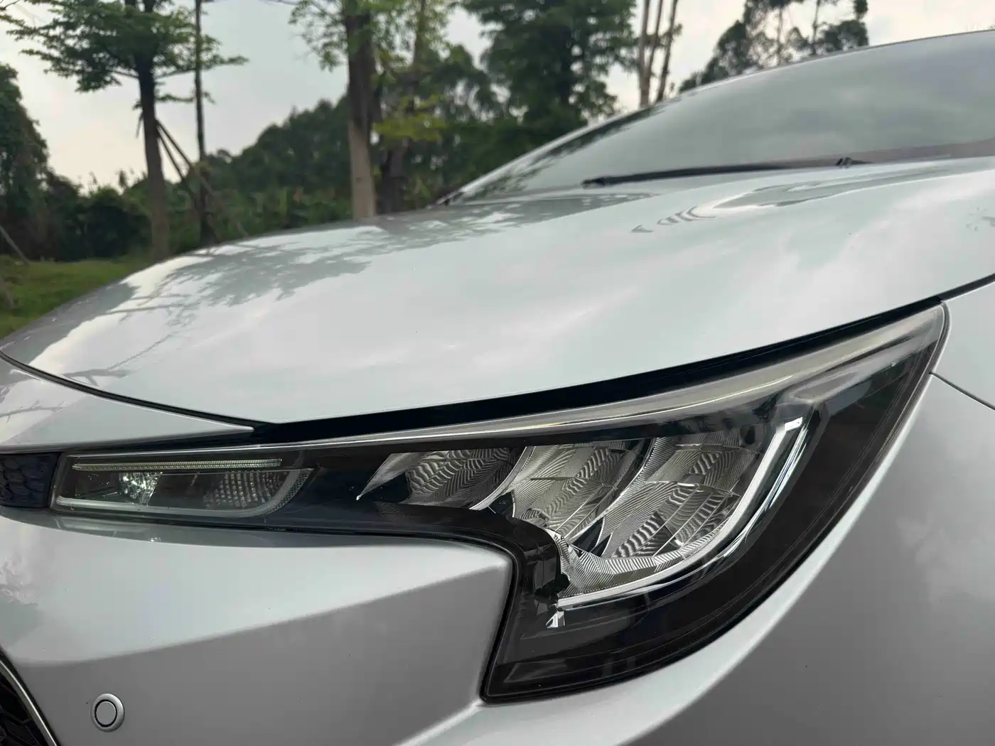 Toyota Levin 2019 185T CVT Luxury Edition China V фото 9