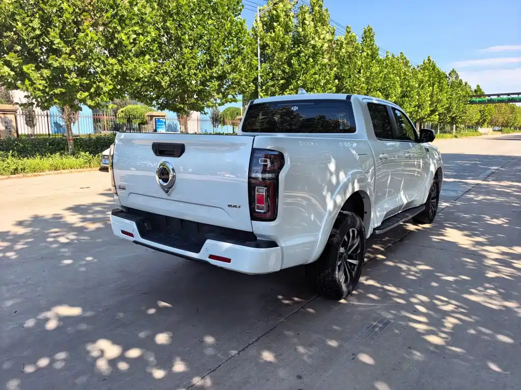 Great Wall Pao 2025 2024 Model 2.4T Passenger Version Automatic Diesel 4WD Comfort Type
