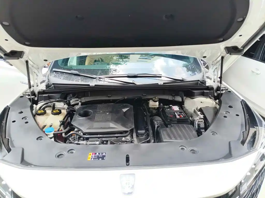 Roewe RX5 2023 2023 1.5T Superior Edition