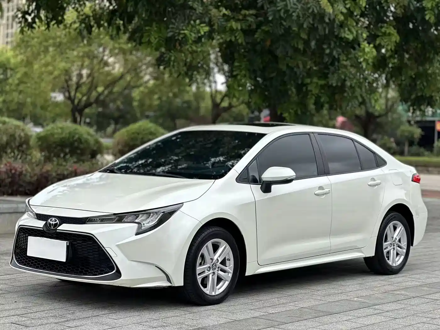 Toyota Levin 2019 185T CVT Luxury Edition China V