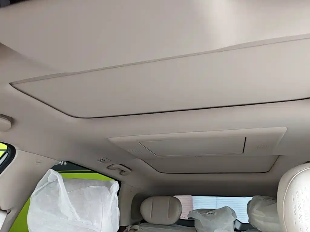 Фото 18 - Dongfeng Aeolus L8