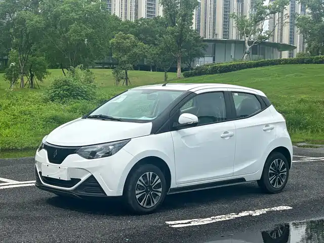  JMCG New Energy Little Kirin 2024 201km Comfort Model