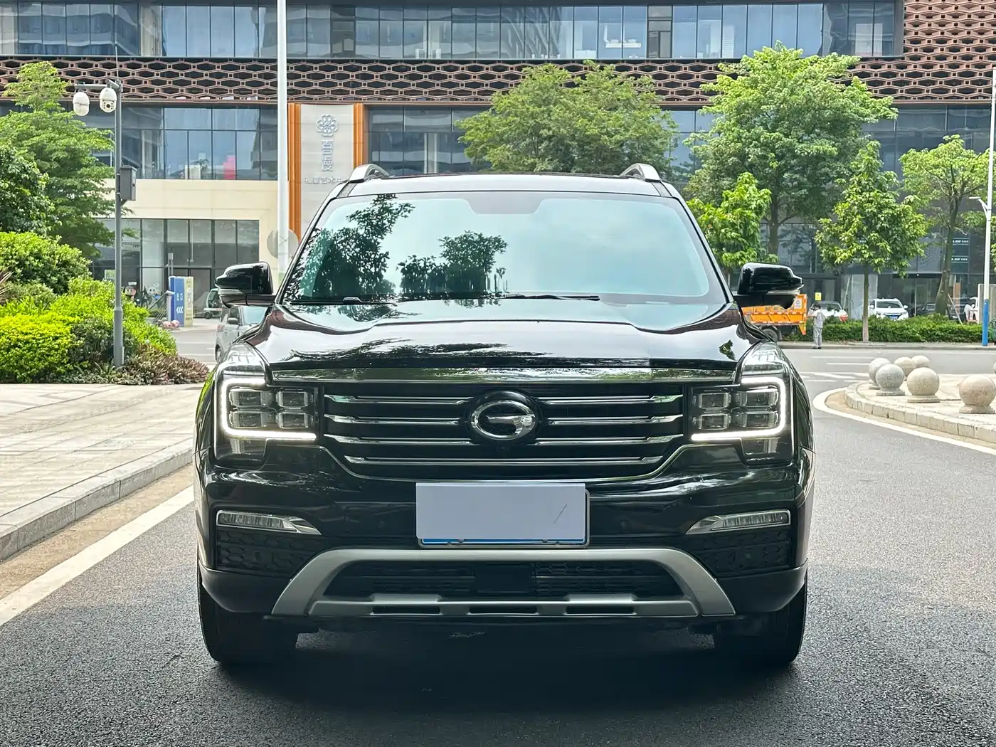GAC Trumpchi Trumpchi GS8 2017 320T 2WD Luxury Smart Connect (7-seater) фото 2