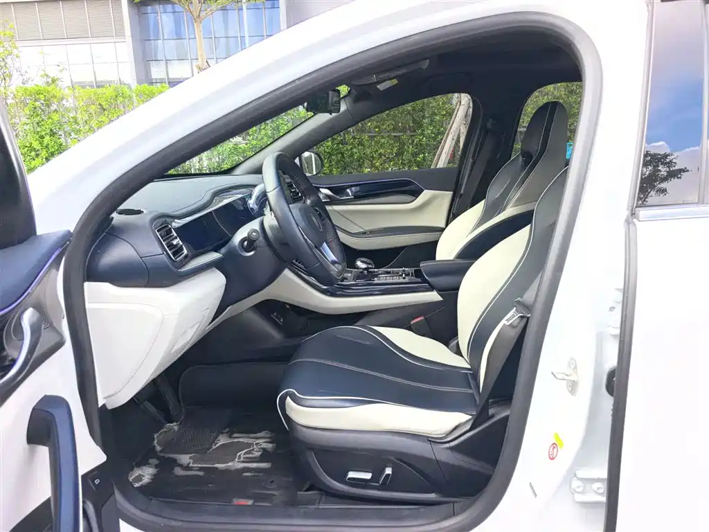 BYD Qin PLUS 2021 DM-i 55KM Flagship фото 11