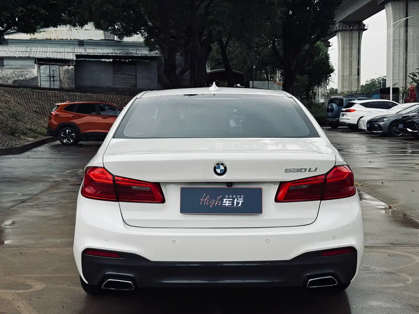 BMW 5 Series 2018 530Li Leading Luxury Package фото 5