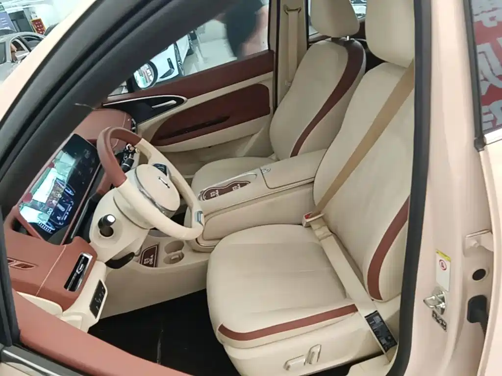 Ora Good Cat 2023 2023 401km Standard Range Luxury LFP