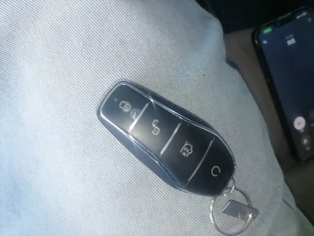 BYD Tang New Energy 2025 2025 Smart Driving Edition DM-i 115KM Flagship