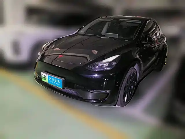 Tesla Model Y 2021 Standard Range Rear-Wheel Drive — фото 1