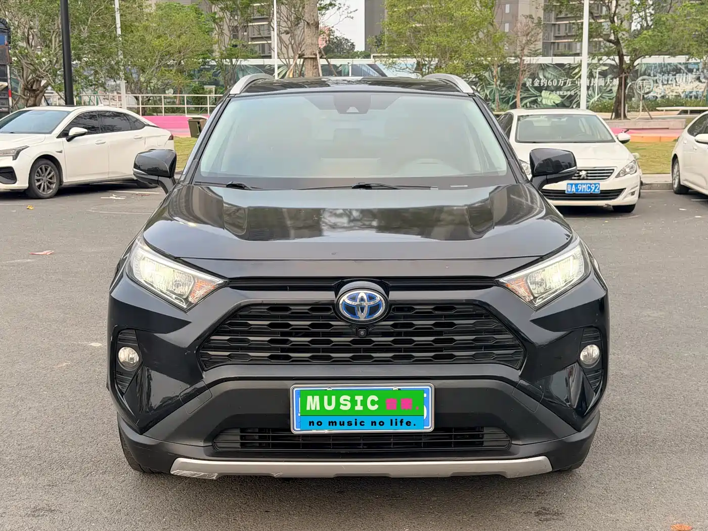 Toyota RAV4 Rongfang 2021 Facelift Hybrid 2.5L E-CVT 4WD Elite PLUS фото 2
