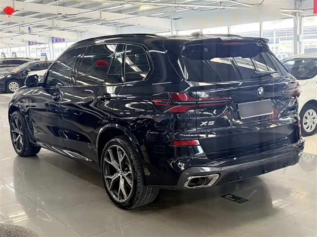 BMW X5 2023 xDrive 30Li Premium M Sport Black Night Package фото 10