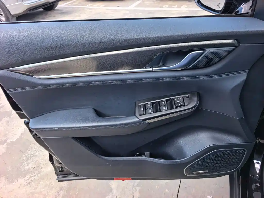 Weltmeister EX6 2020 2020 Plus First Founder Edition