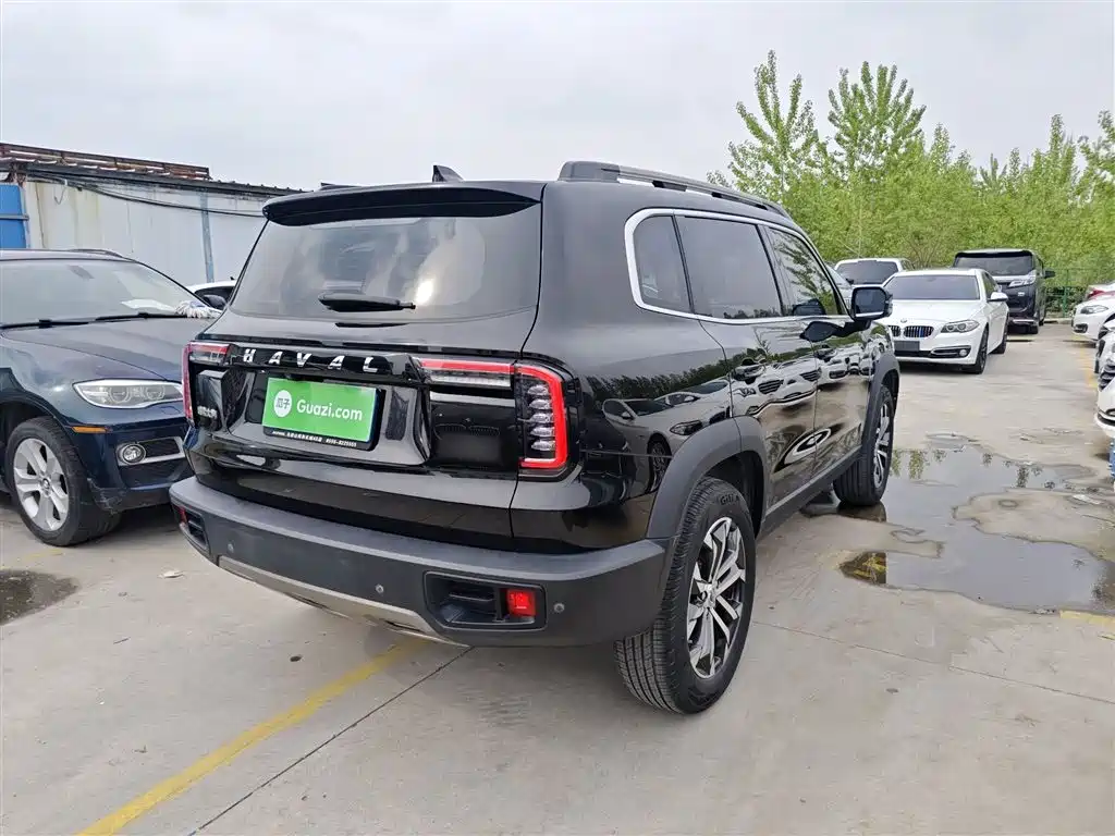 Haval Big Dog 2021 1.5T DCT 2WD Border Collie Edition фото 5