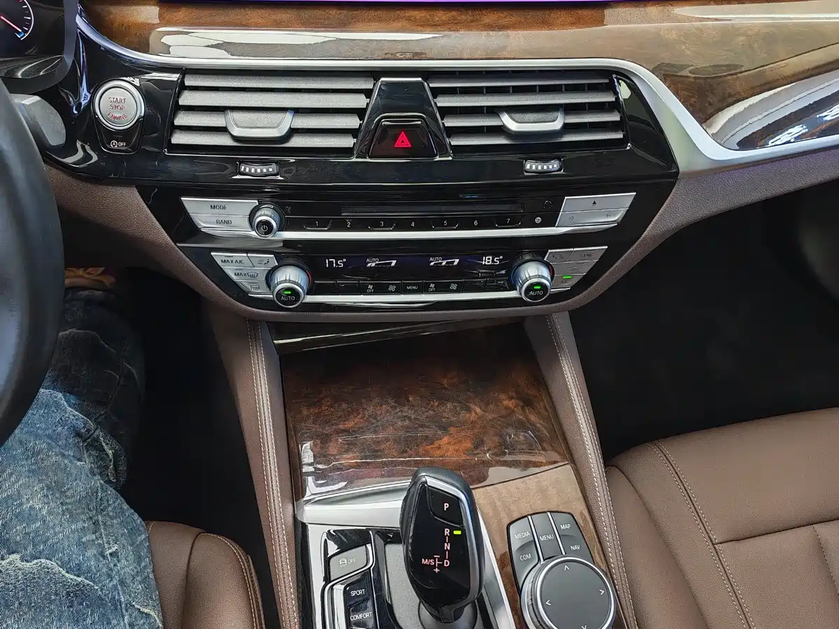 BMW 5 Series 2019 525Li Luxury Package фото 13