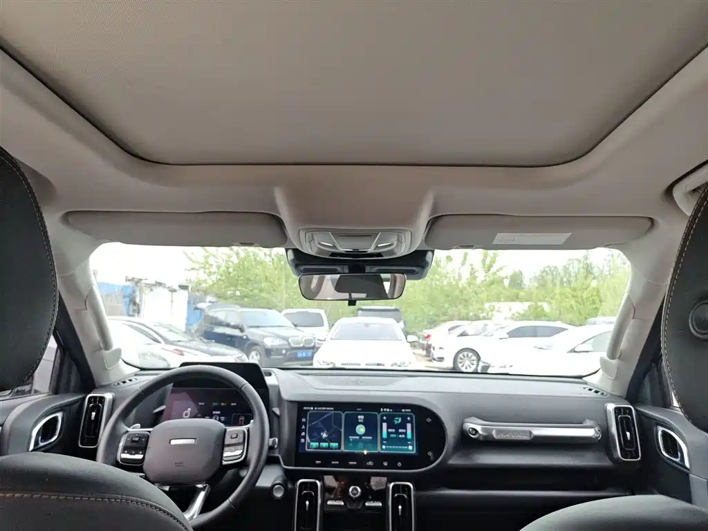 Haval Big Dog 2021 1.5T DCT 2WD Border Collie Edition фото 14