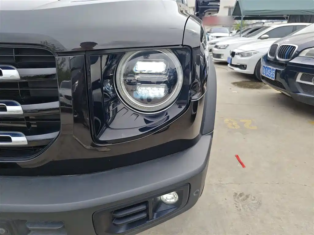 Haval Big Dog 2021 1.5T DCT 2WD Border Collie Edition фото 18
