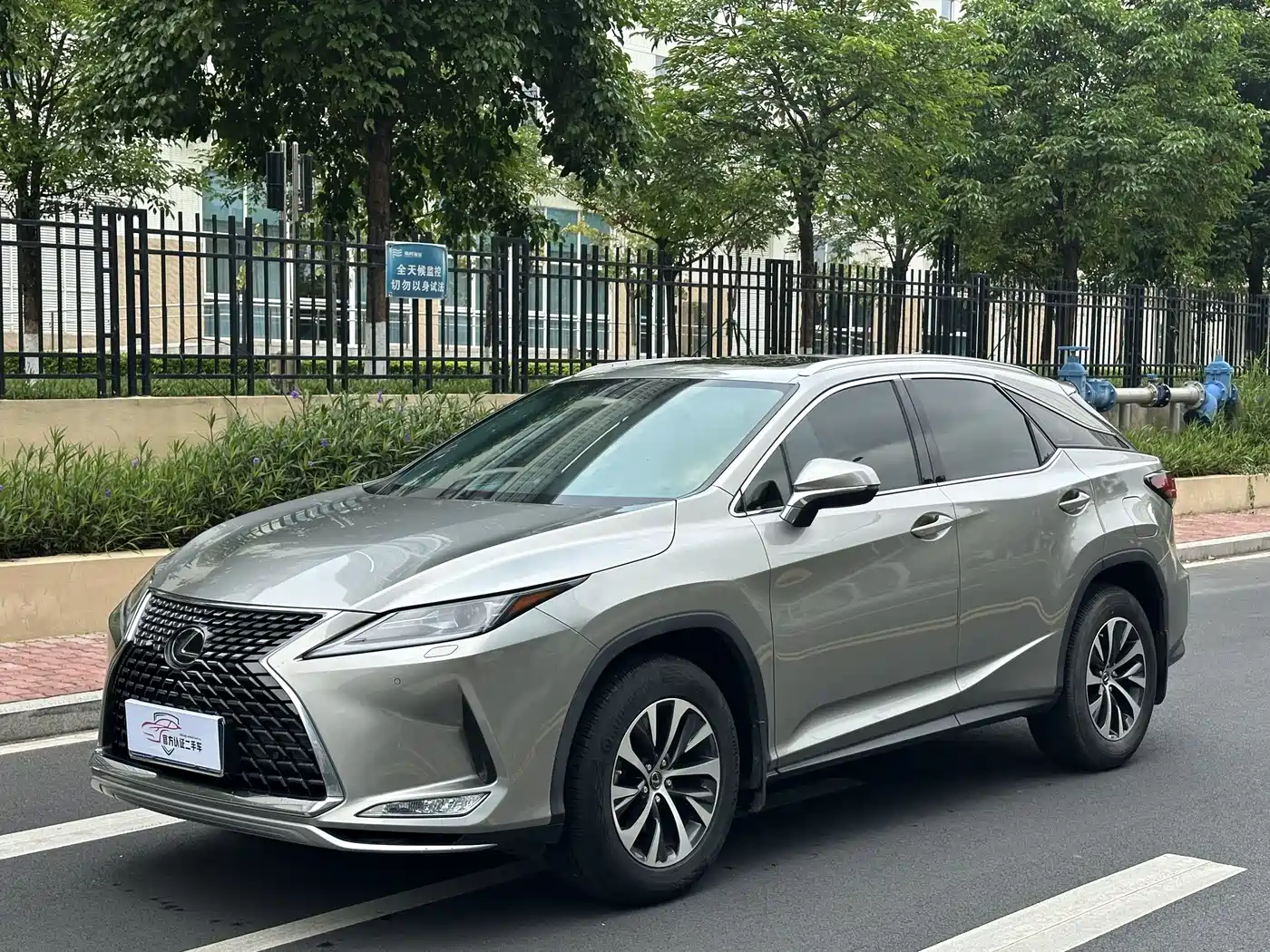 Lexus RX 2020 300 2WD Elite Edition China VI