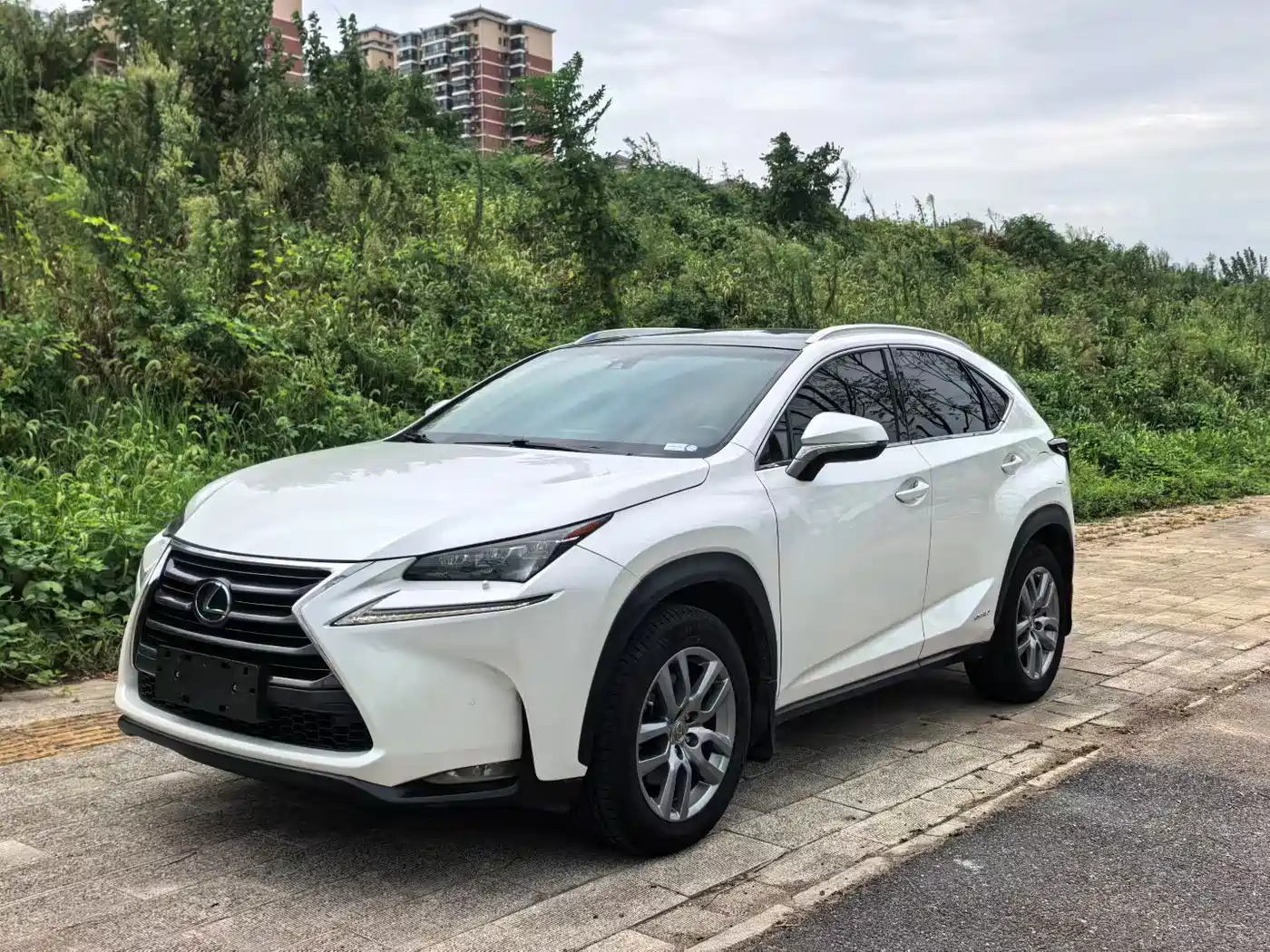 Lexus NX 2015 2015 300h AWD F SPORT