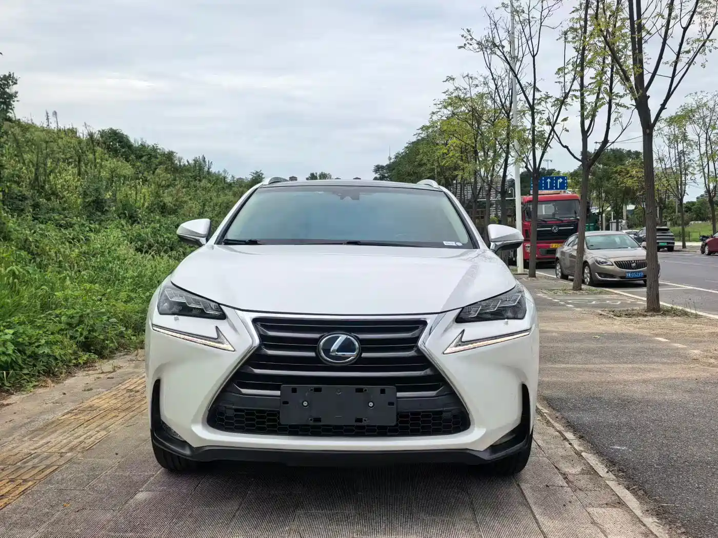 Lexus NX 2015 2015 300h AWD F SPORT