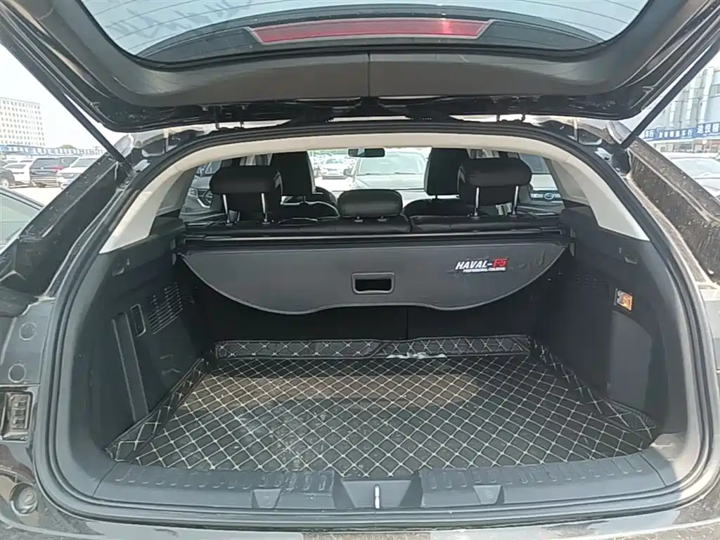 Haval F5 2019 National Trend Edition 1.5T iCool China VI фото 15