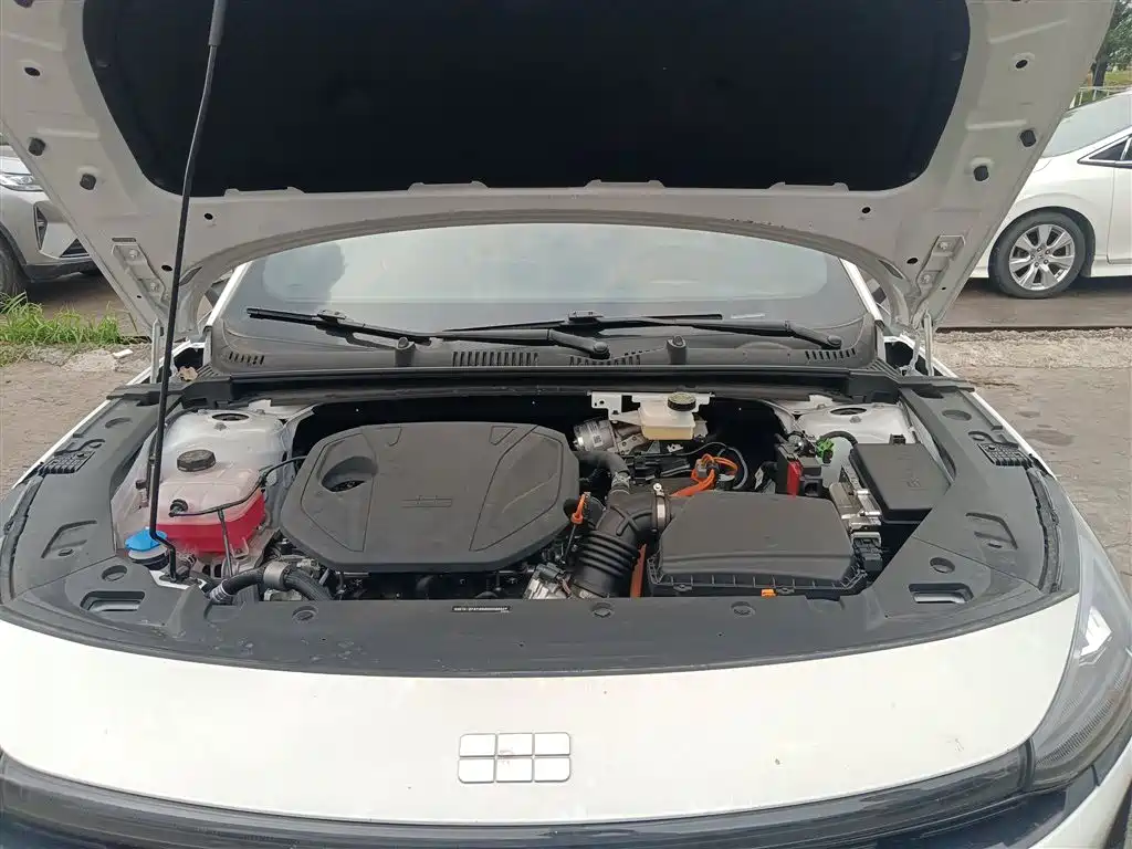 Geely Galaxy Galaxy L6 2025 EM-i 140km Voyage Edition фото 10