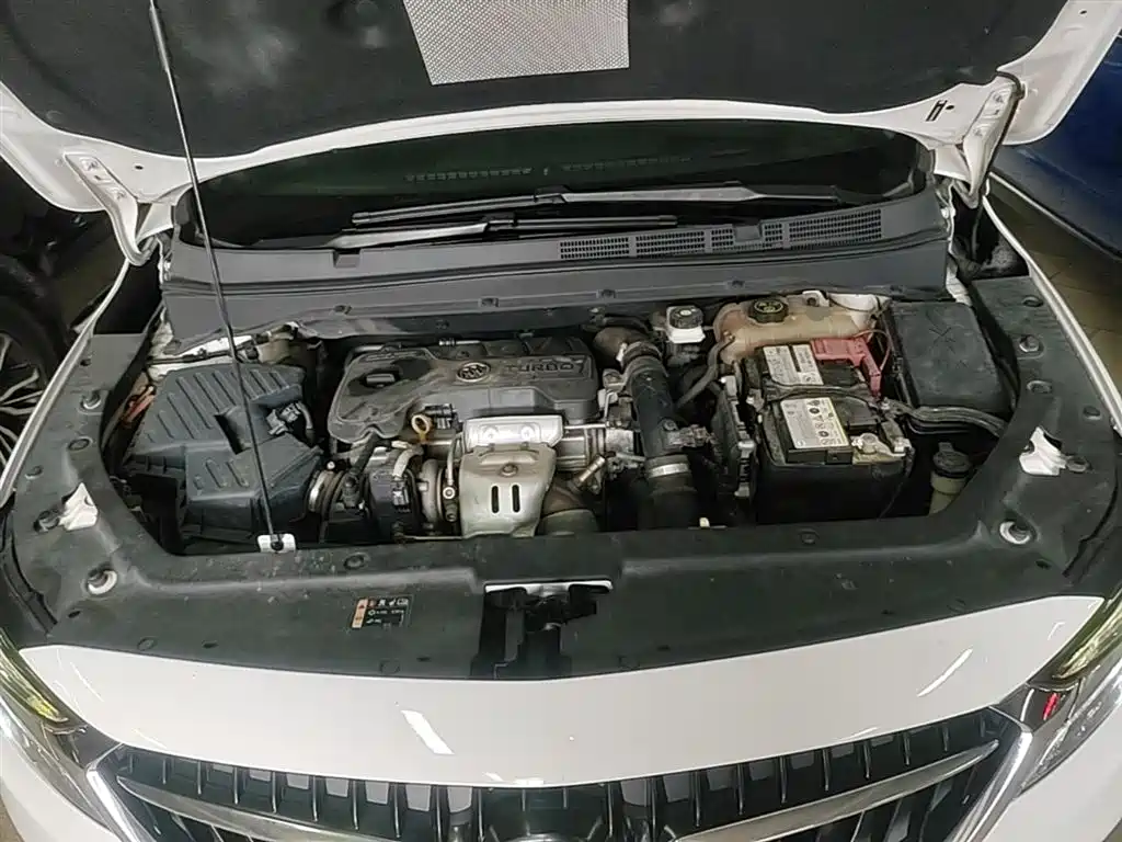 Buick GL6 2019 Model 18T 5-Seater Connected Luxury Version China V фото 20