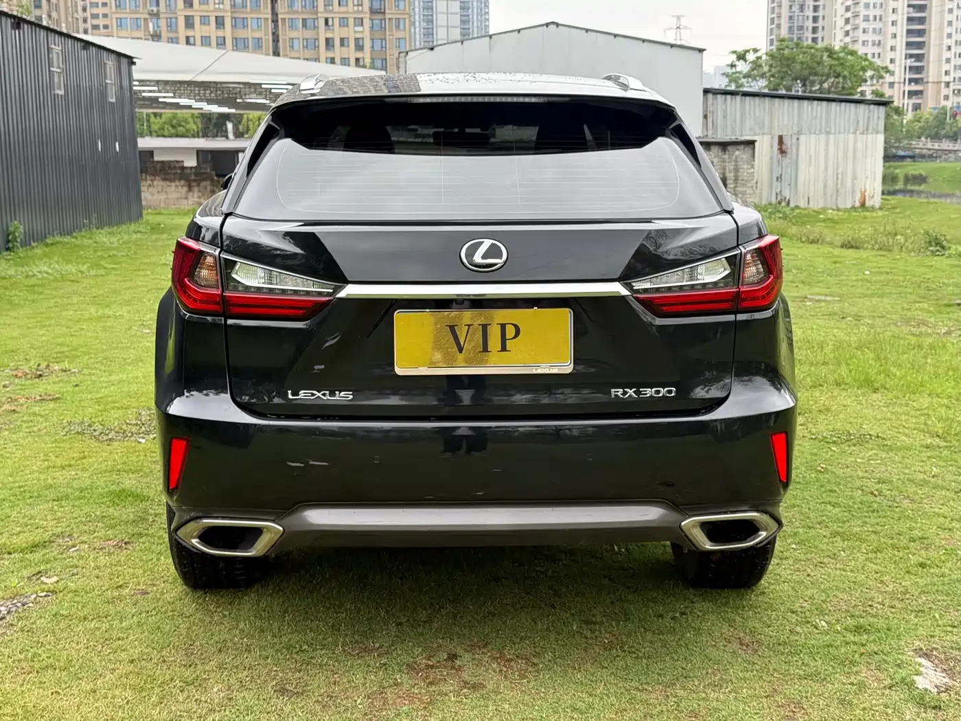 Lexus RX 2016 300 2WD Elite Edition (China V) фото 5